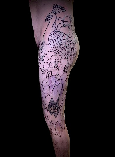 Calypso-Tattoo - Work in progress - Peacock leg tattoo